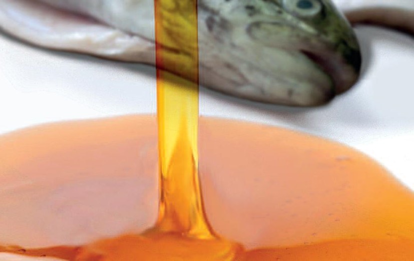 第13页-120 13h00-120